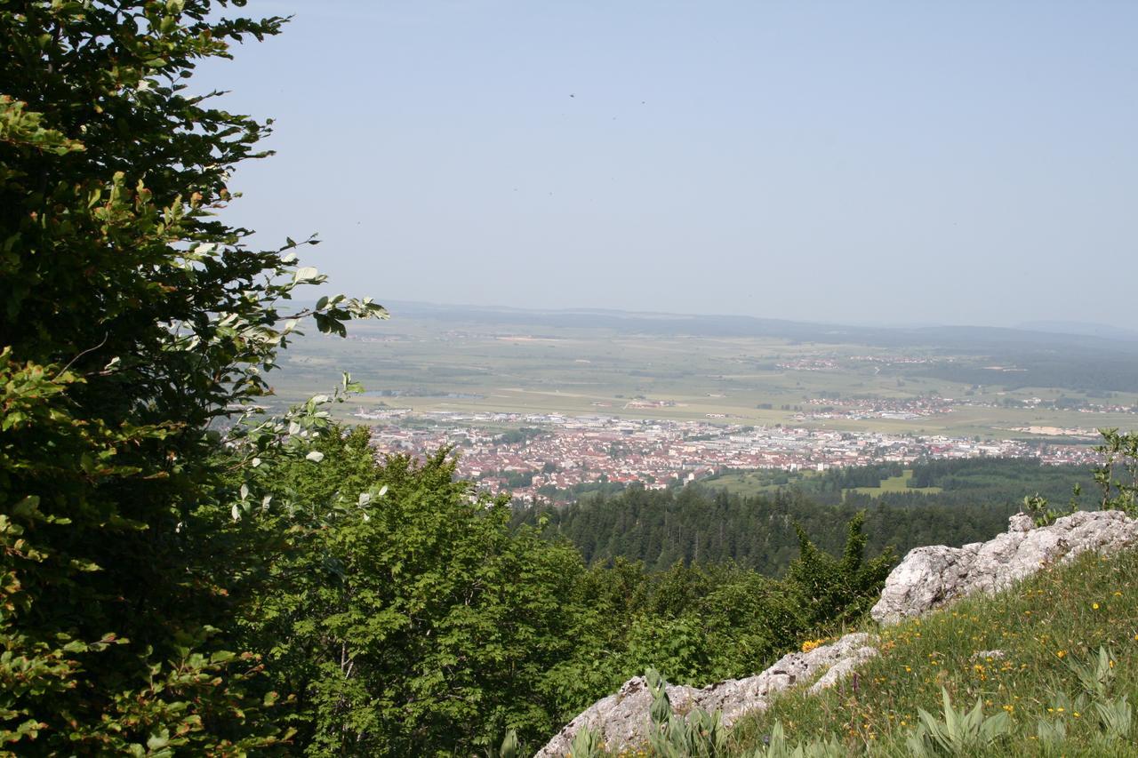 Auberge Du Chateau De Joux La Cluse-et-Mijoux Buitenkant foto